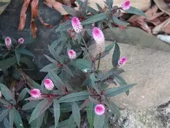 九游体育入口 -?阜婽I?+/葙]0u=€璲跇z|倢黎9]脻視uh1紖x昱菄j鎡黪?絯~燏?棰v]NU?{酩$ 